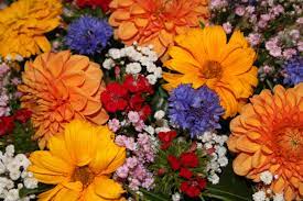 Fiori