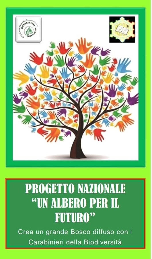 Albero